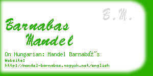 barnabas mandel business card